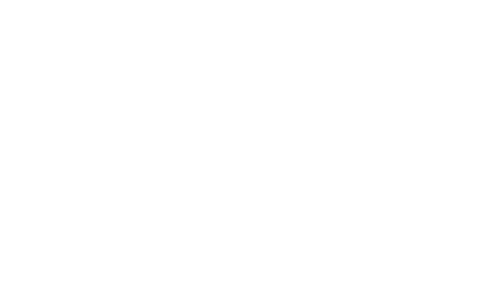Cameo-Coins_LOGO-white
